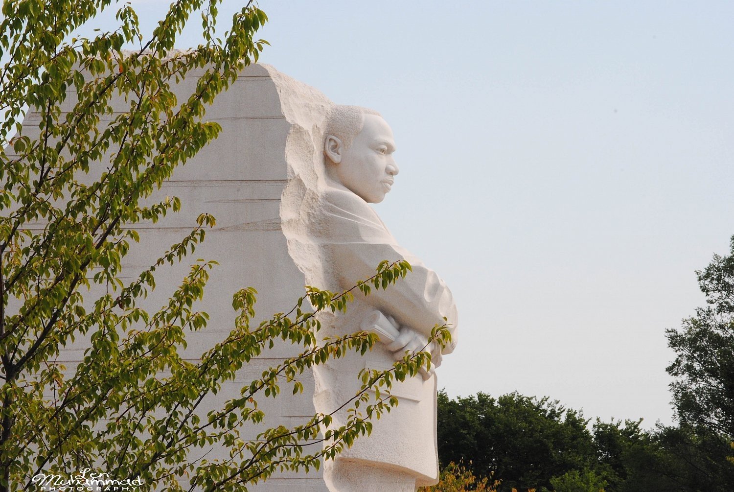 lmphoto 09152011 0226