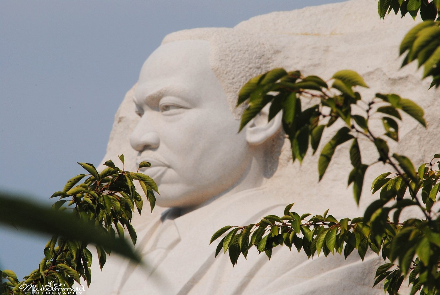 lmphoto 09152011 0187