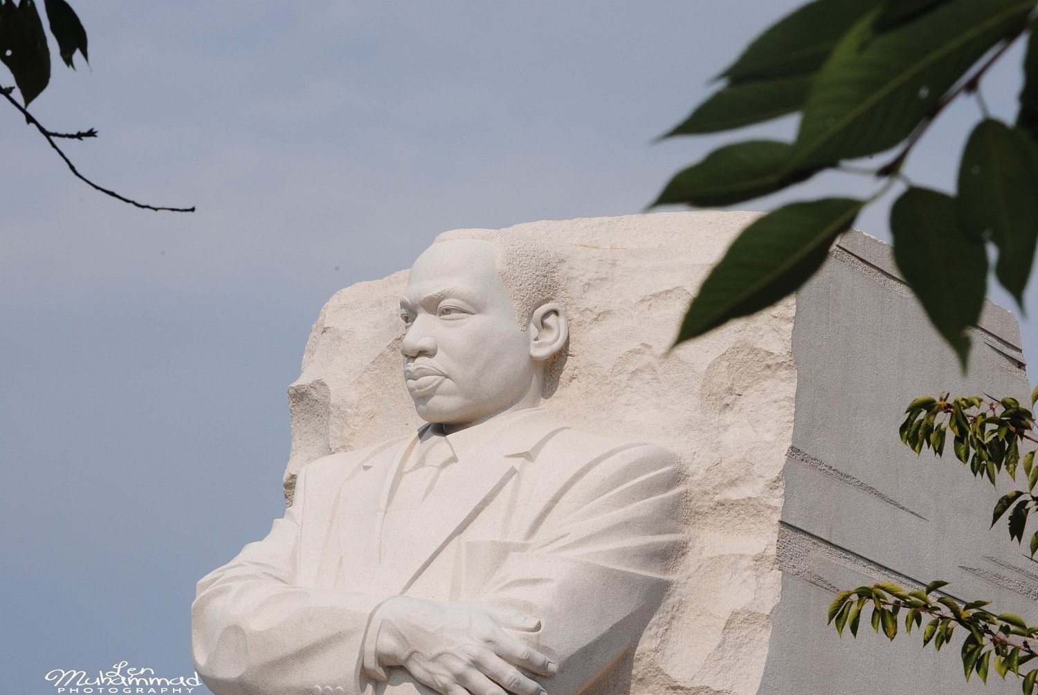 lmphoto 09152011 0189