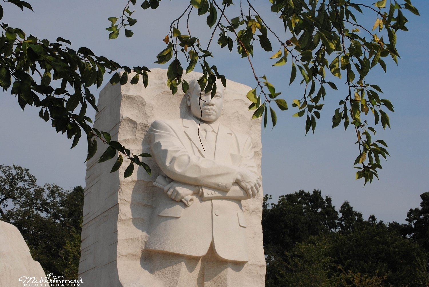 lmphoto 09152011 0175