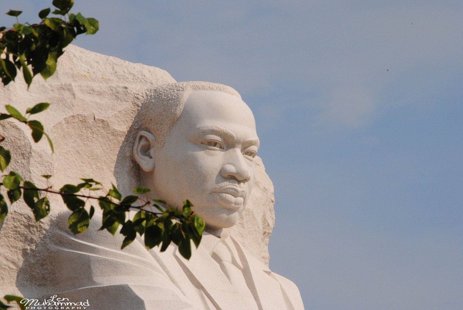 lmphoto 09152011 0199