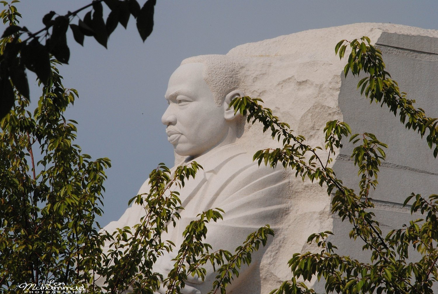 lmphoto 09152011 0192