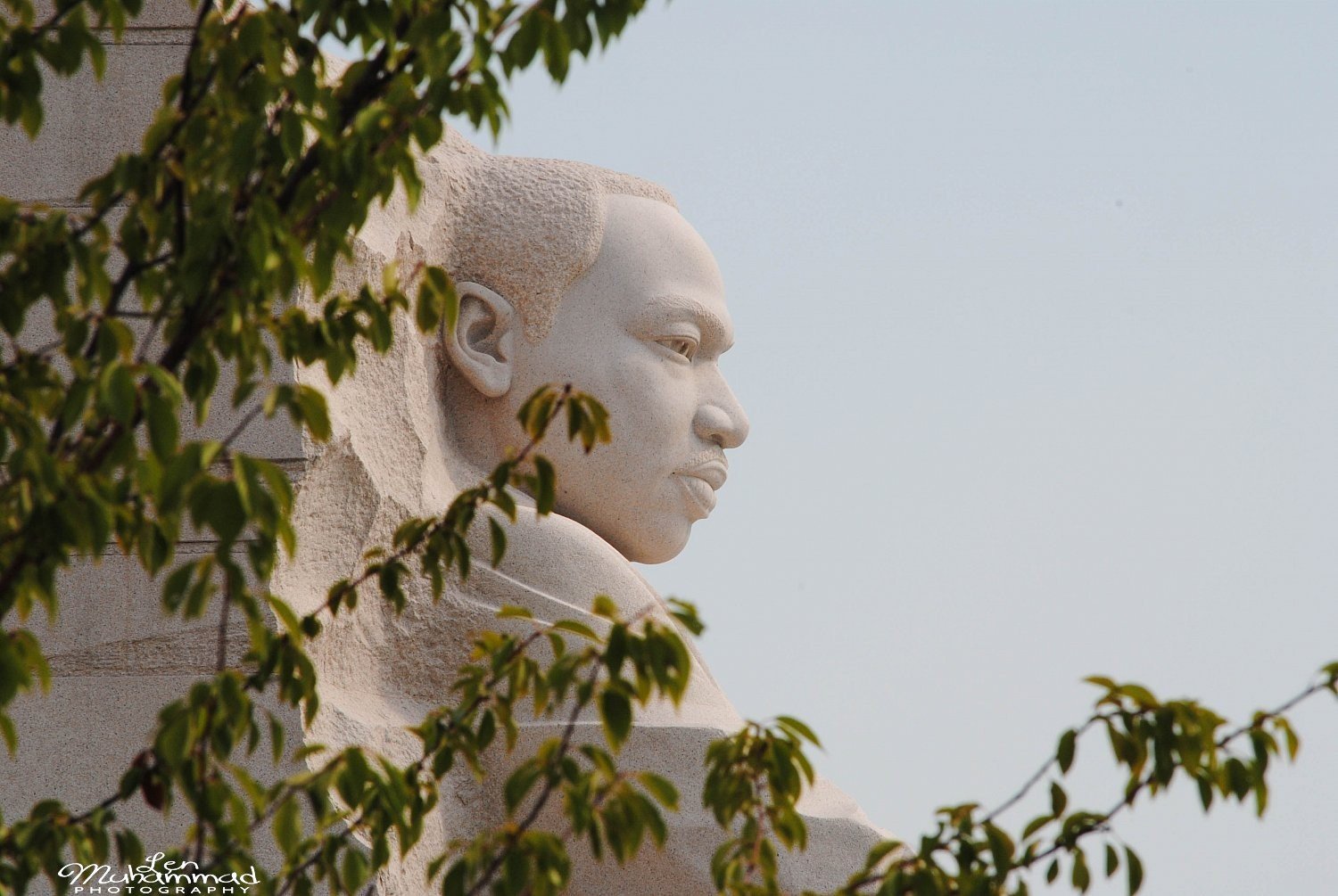 lmphoto 09152011 0229