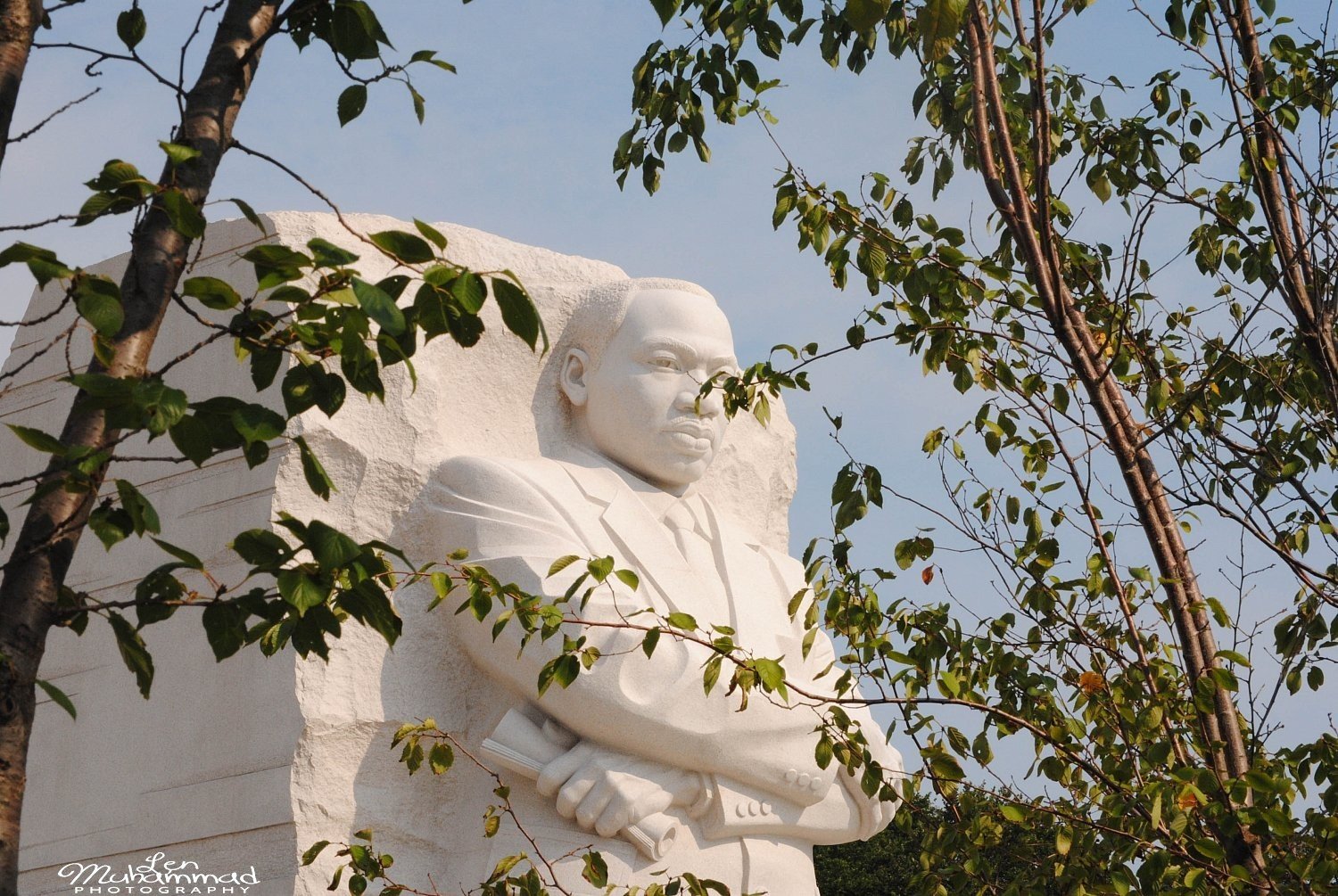 lmphoto 09152011 0198