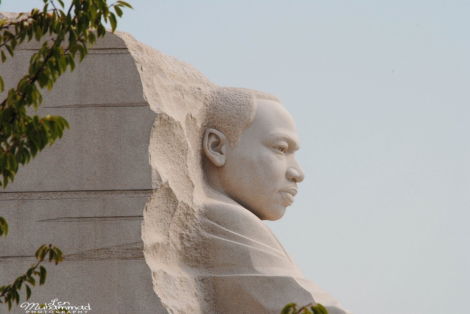 lmphoto 09152011 0228