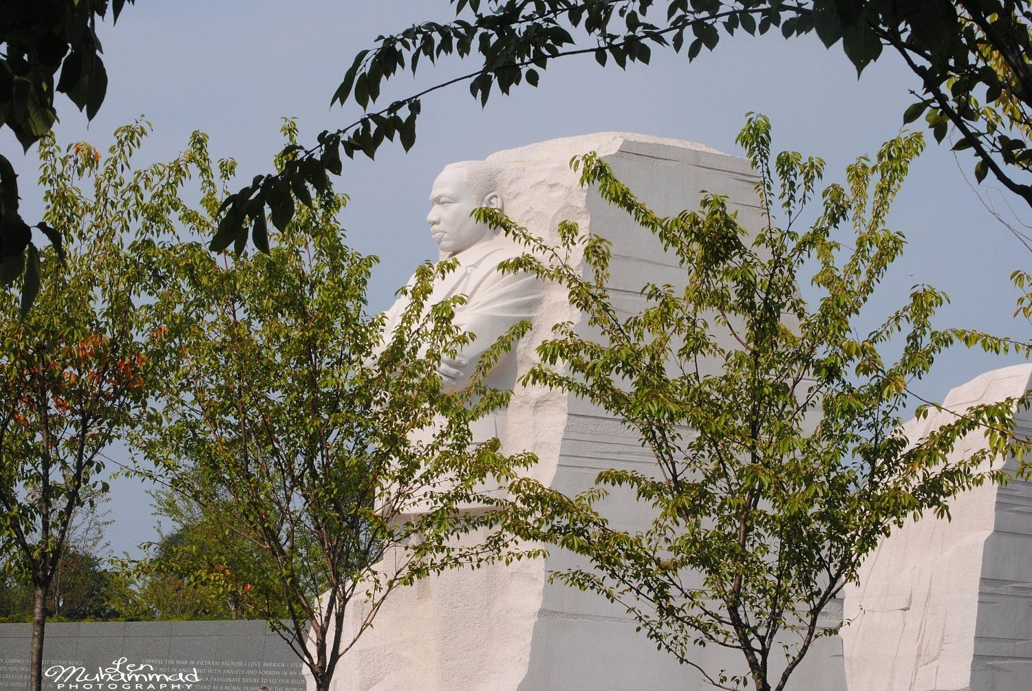 lmphoto 09152011 0193