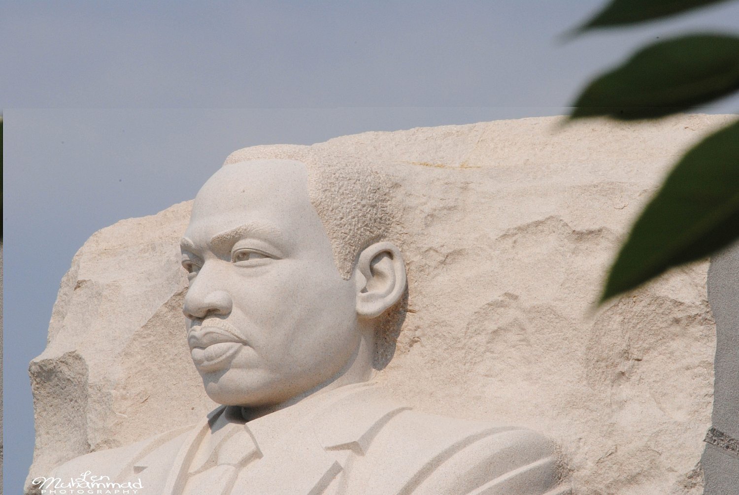 lmphoto 09152011 0191