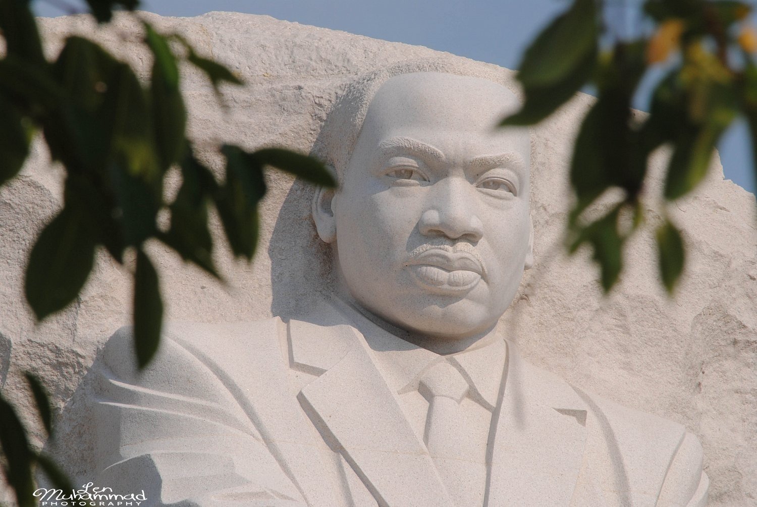 lmphoto 09152011 0178