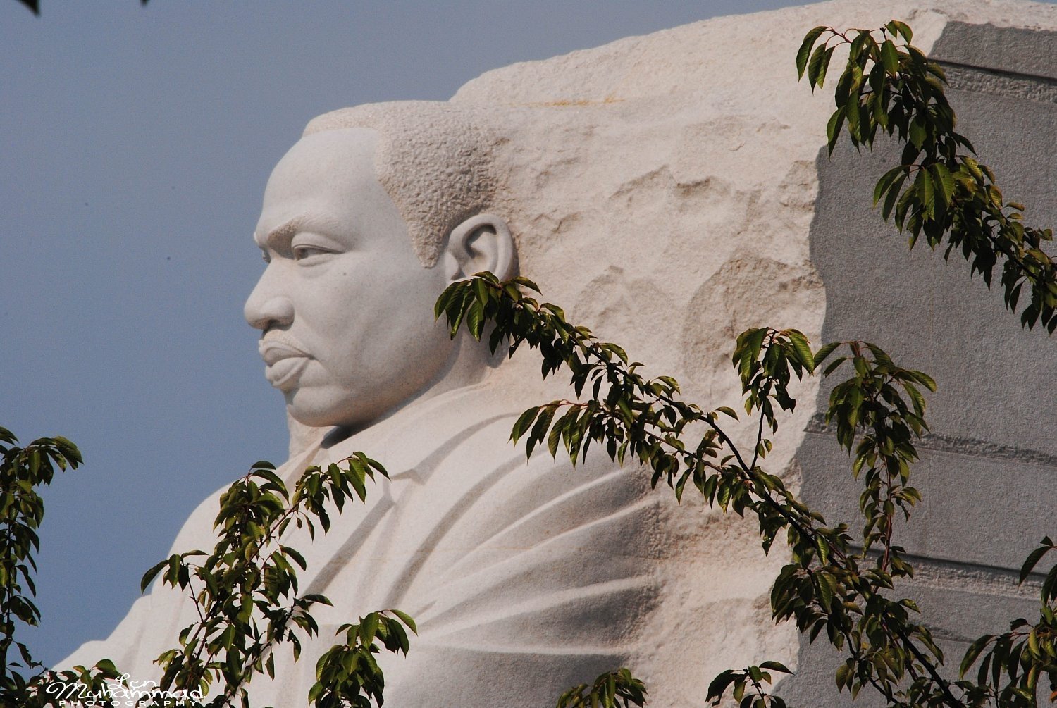 lmphoto 09152011 0195