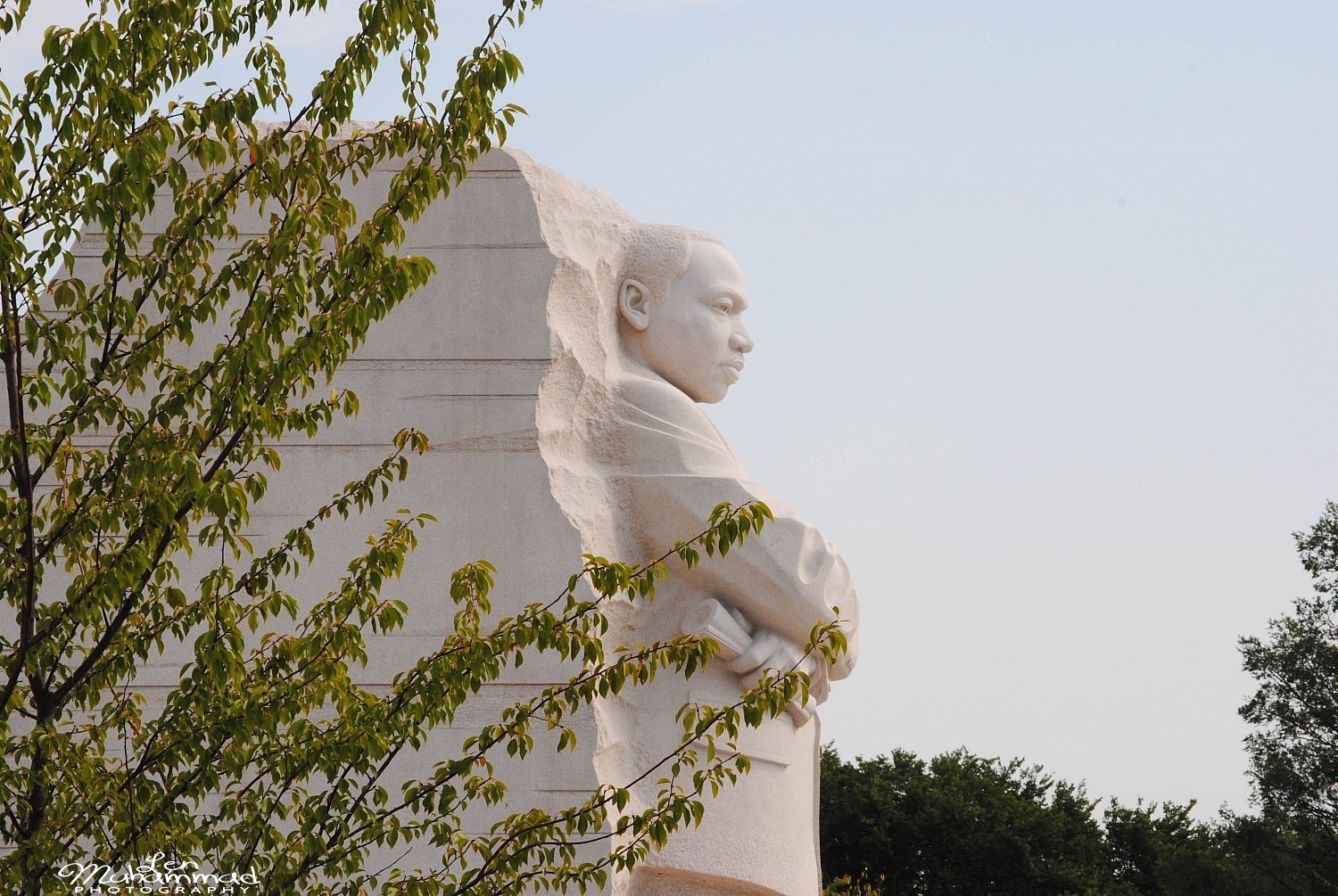 lmphoto 09152011 0227