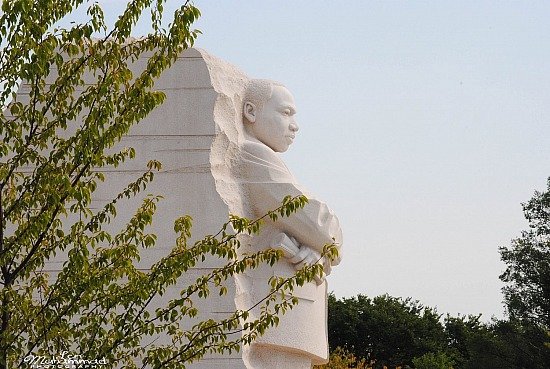 lmphoto 09152011 0226