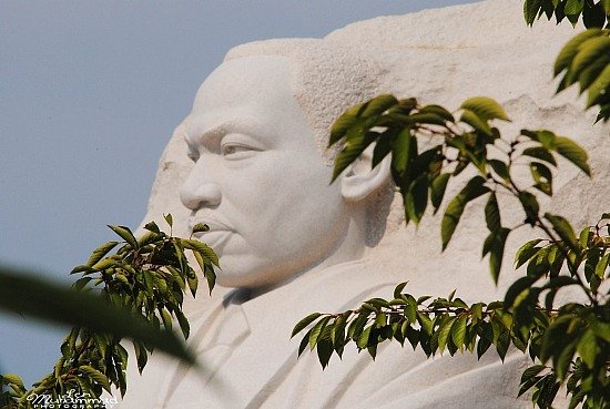 lmphoto 09152011 0187