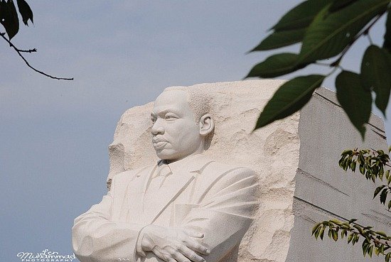 lmphoto 09152011 0189