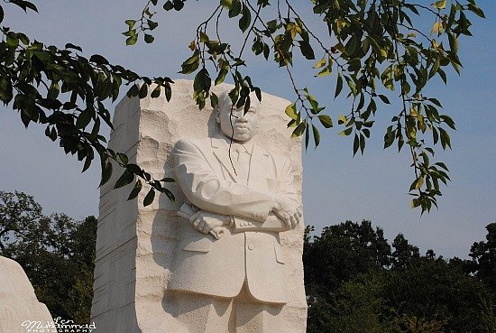 lmphoto 09152011 0175