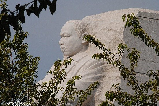 lmphoto 09152011 0192