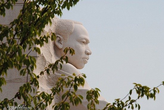 lmphoto 09152011 0229