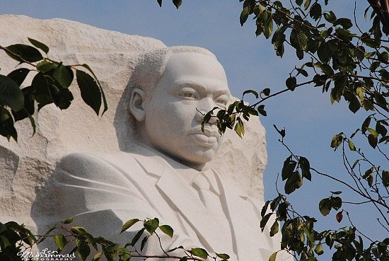 lmphoto 09152011 0196