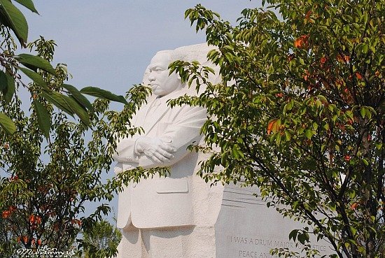 lmphoto 09152011 0186