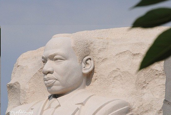 lmphoto 09152011 0191