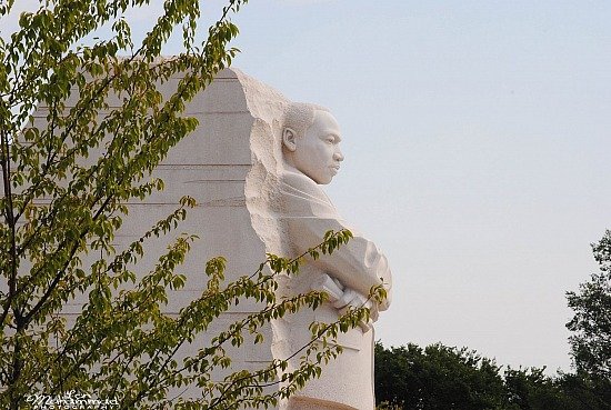 lmphoto 09152011 0227