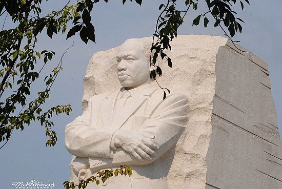 lmphoto 09152011 0181