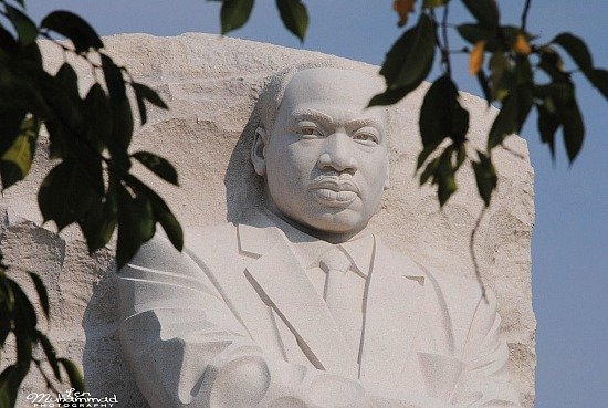 lmphoto 09152011 0176